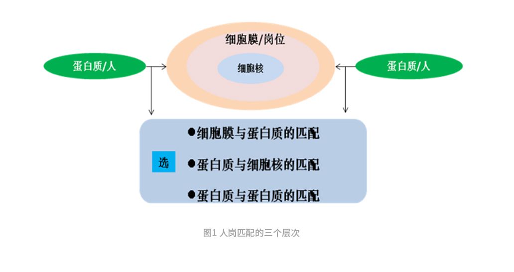index2_2_img1.jpg